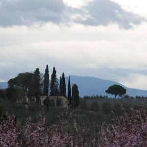 Meet your Posher, Arthur